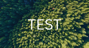 Matt Cruz Test 2026 logo